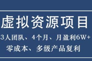 暴疯团队虚拟货源项目—新手、高客单价、多产品复利