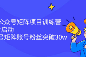 倪叶明·蓝海公众号矩阵项目，0粉冷启动，公众号矩阵账号粉丝突破30w