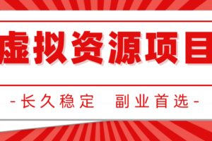 虚拟资源项目的全套玩法，价值1880元（实用）