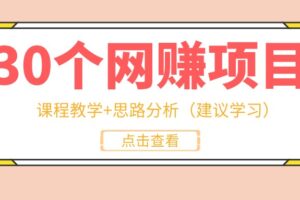 30个项目网赚思路（课程教学+思路分析），新手入门开拓第一步