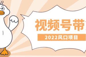 2022风口项目，【视频号带货】新手教程，轻松月赚10000+，保姆级教程